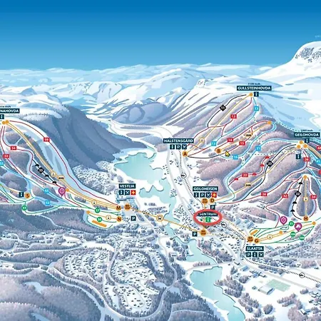 Modern In The Heart Of Center *